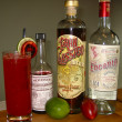 Recipe: Tamarillo Tippler by Nathan Gerdes